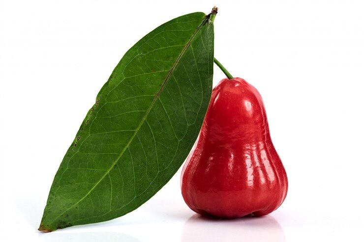 manfaat daun jambu air, rebusan daun jambu air, obat herbal alami, obat diare alami, cara menurunkan gula darah alami, daun jambu air untuk radang, ramuan herbal untuk bunda, pengobatan tradisional keluarga.